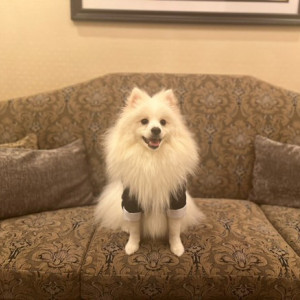 犬控え室|781551さんの神戸セントモルガン教会の写真(2590675)