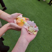 フラワーシャワー