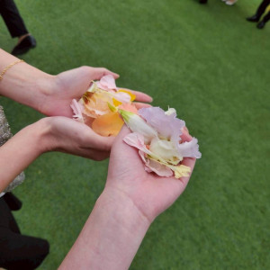 フラワーシャワー|781553さんの浦安ブライトンホテル東京ベイの写真(2591436)