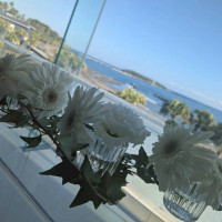 結婚証明書にサインをするガラス張りの机