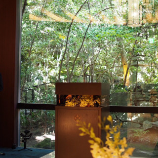 石畳と緑が見えるチャペルです。