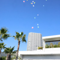 ドロップアンドフライ