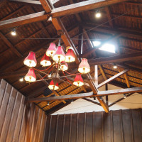 天井の証明が素敵でした。