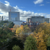 道庁がみえます。