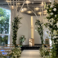 白とグリーンを基調としています