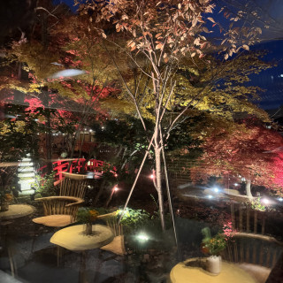 ロビーから見た庭園