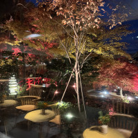 ロビーから見た庭園