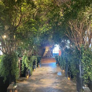 木がたくさん置いてある挙式場