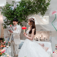 噛んだらぴこぴこ