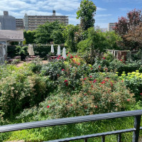 イングリッシュガーデン