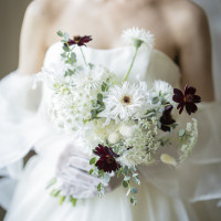 ブラックのコスモスが可愛いです