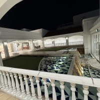 廊下から見た庭