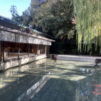 ここで挙式できます