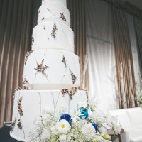 クリスマスツリーのような大きな華やかなケーキです。