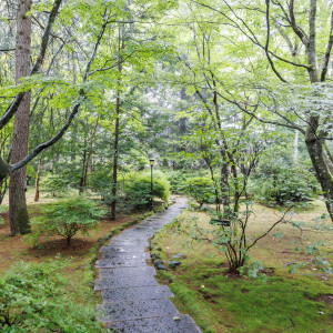 自然豊かで、緑がとても綺麗です|782193さんの旧軽井沢礼拝堂 旧軽井沢ホテル音羽ノ森の写真(2596512)