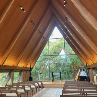 窓から差し込む光と緑が気に入りました。