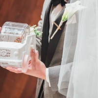 リングハムスター