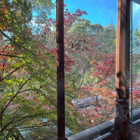 ゲストの待合室から見える景色です。
紅葉が綺麗に見えます。