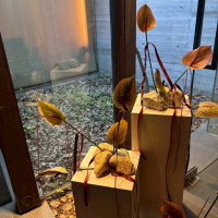 ウェルカムスペースは「ウェルカムフラワー」にしました。