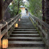 お庭にある階段です。ここでドレス写真を撮る最高でした。