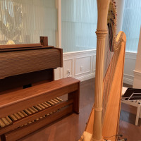 生演奏がオプションなしでついてます