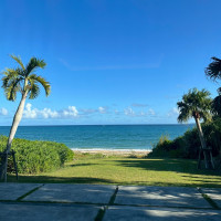 ロビーから見える外の景色