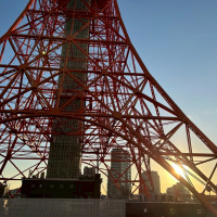 屋上からの眺め