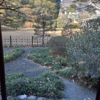 桃林荘のお庭です。