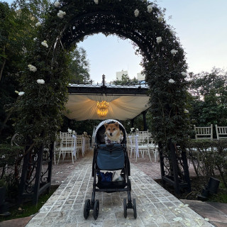 アーチにはオプションで花をつけました。