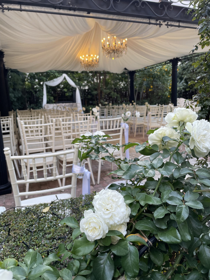 クチコミ導線画像2095745