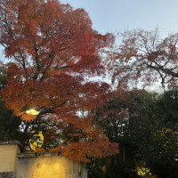 12月上旬でしたが紅葉がまだ綺麗でした