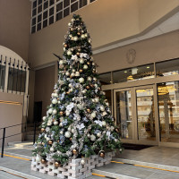 ゲストの皆様もこの素敵なツリーで沢山写真を撮っていました