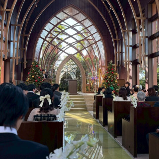 クリスマスツリーが設置してあります