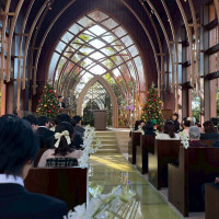 クリスマスツリーが設置してあります