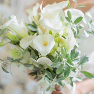 è±ã®çš®é¡ãå€ããšãŠãæ©ã¿ãŸããããã€ã¡ãŒãžãšãŽã£ããã§ããïŒ