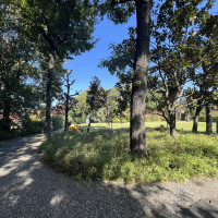 挙式会場から披露宴会場まで歩いて向かう際の風景です。