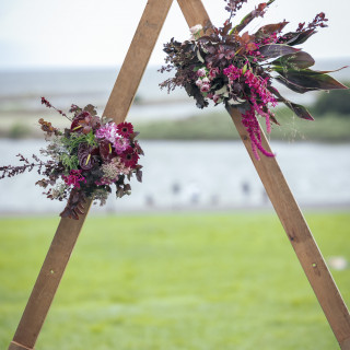 お気に入りのお花たち