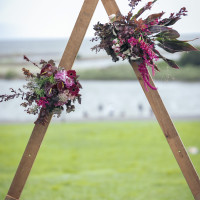 お気に入りのお花たち