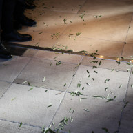 オリーブの葉でシャワー