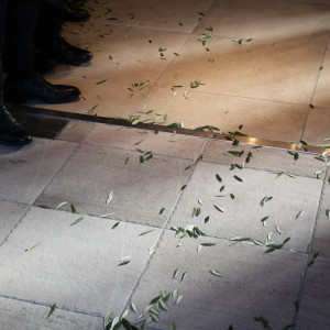 オリーブの葉でシャワー|782819さんのLe Merci(ル・メルシェ)の写真(2597468)