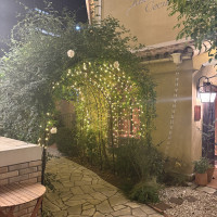 至る所にイルミネーションがありました。