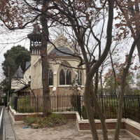 時期が良いと花が咲くそうでもっと緑も多いそうです