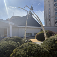 こちらのカネを当日をならせるそうです