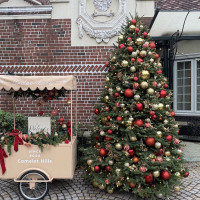 クリスマス仕様でこの時期やるとお得な気がします。