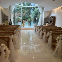 滝と緑がみえる