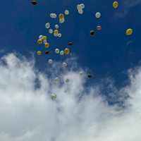 ドロップアンドフライ