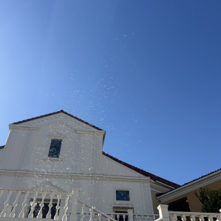 花びらをあげるとき