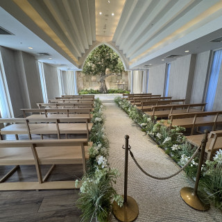 オリーブの木があって温かい雰囲気です。