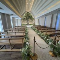 オリーブの木があって温かい雰囲気です。