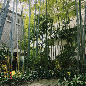 チャペルや披露宴会場から見える中庭|783274さんのフォーチュンガーデン京都(FORTUNE GARDEN KYOTO)の写真(2636222)